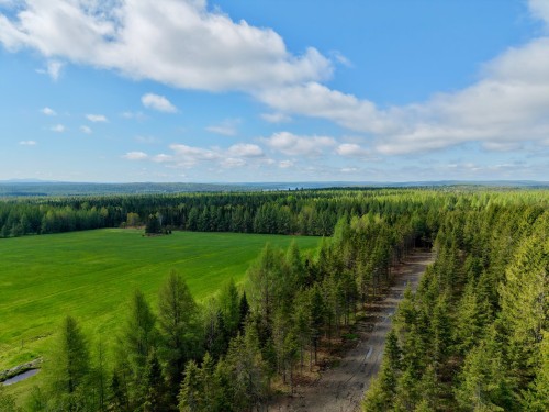 Wooded area - 382 4E Rang, Adstock, QC 