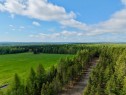 Wooded area - 382 4E Rang, Adstock, QC 