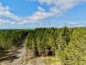 Wooded area - 382 4E Rang, Adstock, QC 