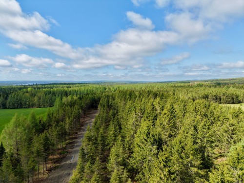 Wooded area - 382 4E Rang, Adstock, QC 