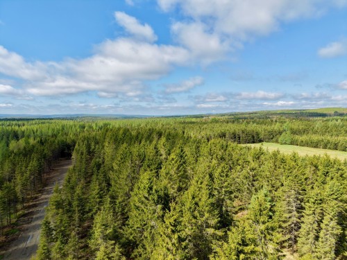 Wooded area - 382 4E Rang, Adstock, QC 
