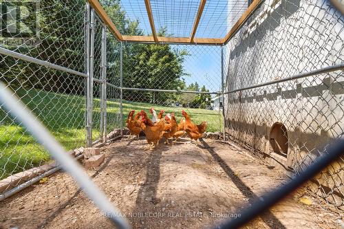 2037 15Th Side Road, New Tecumseth, ON - Outdoor