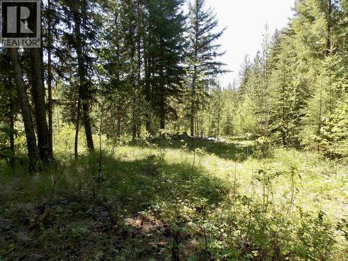 Lot 2 Starlike Lake Road, Horsefly, BC 