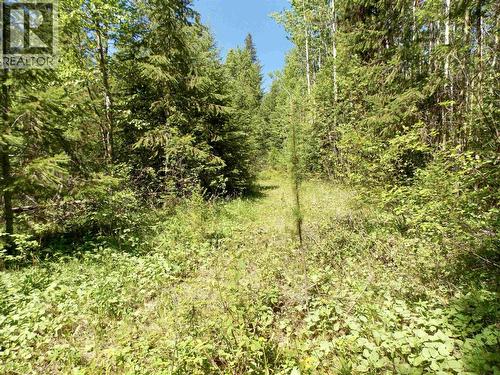 Lot 2 Starlike Lake Road, Horsefly, BC 