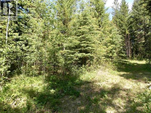 Lot 2 Starlike Lake Road, Horsefly, BC 