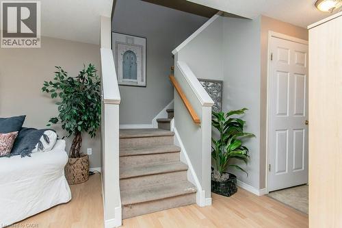 Carpeted staircase with white risers and a light wood handrail, featuring light wood-finish flooring in the foreground - 71 Foxglove Crescent, Kitchener, ON - Indoor Photo Showing Other Room