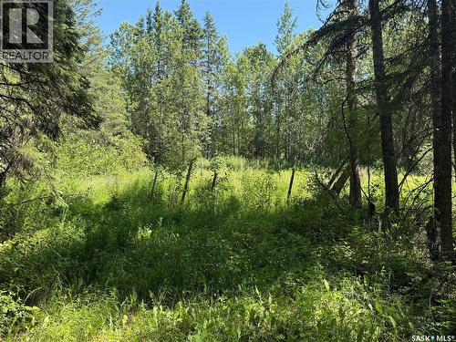 Rest A While Acreage, Paddockwood Rm No. 520, SK 