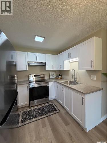 358 Cedar Meadow Drive, Regina, SK - Indoor Photo Showing Kitchen With Double Sink