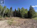 Lot B Eagleview Road, Shelley, BC 