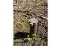 Lot B Eagleview Road, Shelley, BC 