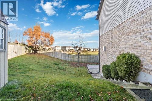Expansive backyard featuring a manicured lawn, a privacy fence, and a mature tree - 27 Red Clover Crescent, Kitchener, ON - Outdoor