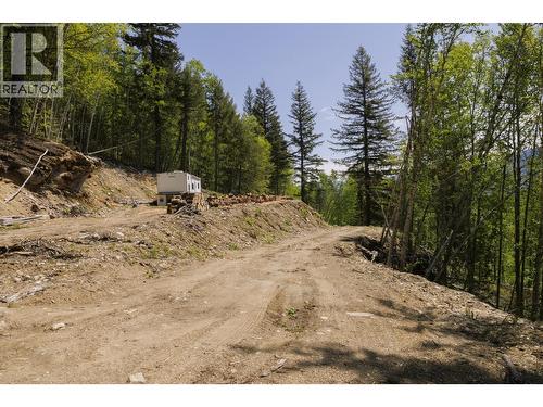 3260 Mountain View Road, Mcbride, BC 
