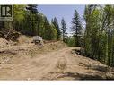 3260 Mountain View Road, Mcbride, BC 
