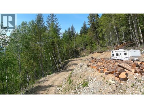 3260 Mountain View Road, Mcbride, BC 