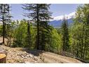 3260 Mountain View Road, Mcbride, BC 