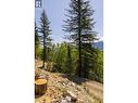 3260 Mountain View Road, Mcbride, BC 