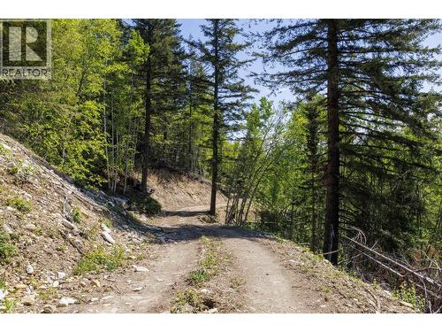 3260 Mountain View Road, Mcbride, BC 