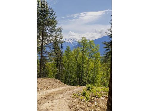 3260 Mountain View Road, Mcbride, BC 