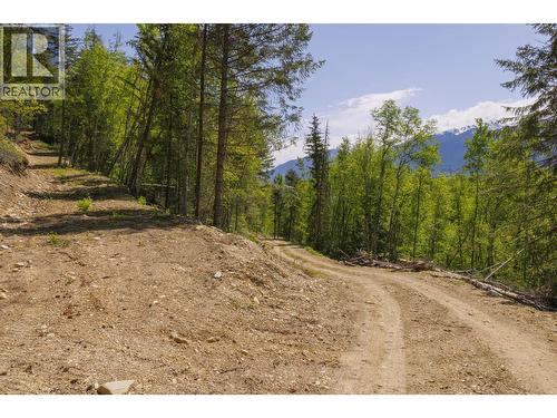 3260 Mountain View Road, Mcbride, BC 