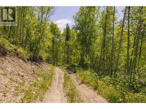3260 Mountain View Road, Mcbride, BC 