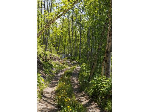 3260 Mountain View Road, Mcbride, BC 