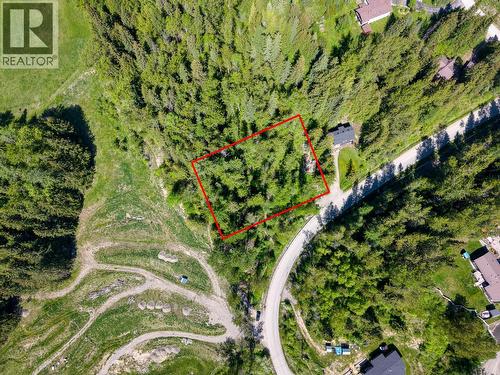 Lot lines are approximate. See Survey for actual details - 300 Burma Road, Fernie, BC 