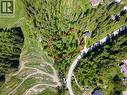 Lot lines are approximate. See Survey for actual details - 300 Burma Road, Fernie, BC 