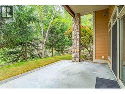 lower level patio - 