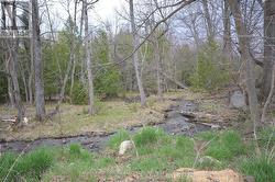 00 FLAT ROAD Greater Madawaska, ON K0J 1N0