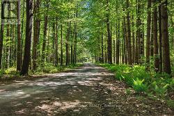 Private drive, kids can play far from the main rd! - 