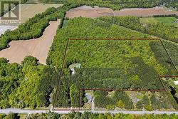 Trails are cut throughout the property... - 