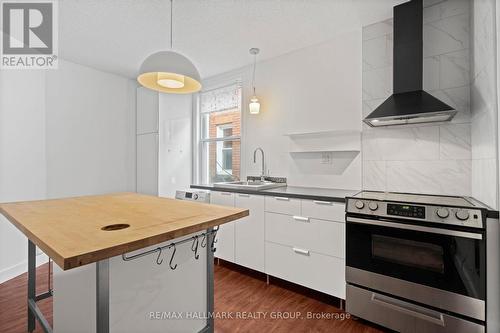 378 Booth Street, Ottawa, ON - Indoor Photo Showing Kitchen