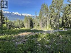 893 Crandall Road Golden, BC V0A 1H2