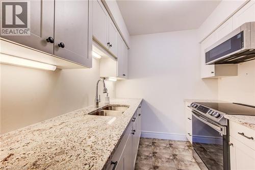 Upgraded kitchen with new counter and cabinets - 1414 King Street E Unit# 101, Kitchener, ON - Indoor Photo Showing Kitchen With Double Sink With Upgraded Kitchen
