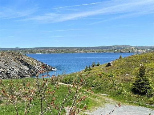 0 Lodge Lane, Port De Grave, NL 