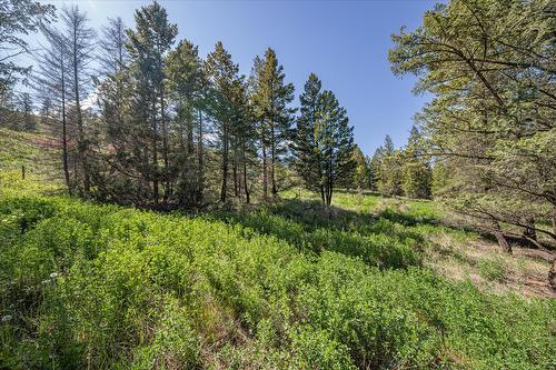 Lot 2 Columbia Lake Road Road, Fairmont Hot Springs, BC - Outdoor With View