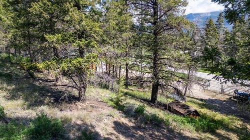 Lot 2 Columbia Lake Road Road, Fairmont Hot Springs, BC - Outdoor With View
