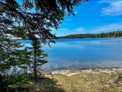 12 Catastrophe Lake Nw Of Kenora, ON P0X 1C0