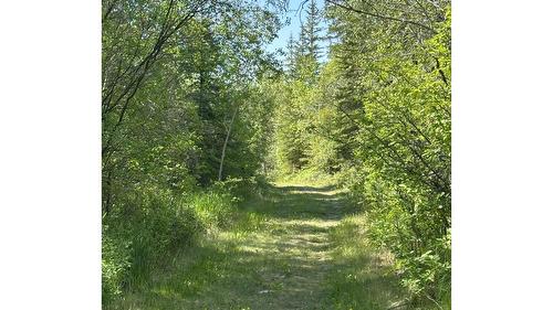 4325 Moan Road, Ta Ta Creek, BC - Outdoor With View