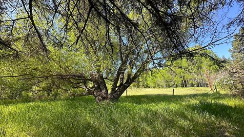 4325 Moan Road, Ta Ta Creek, BC - Outdoor With View
