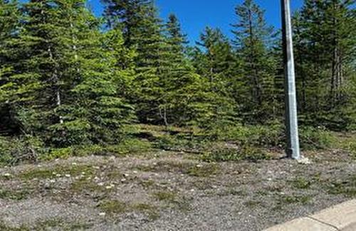 37 Driftwood Place, Elkford, BC - Outdoor