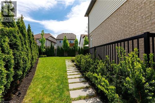 Lush green lawn with a stone paver pathway bordered by mature evergreen shrubs and a parallel row of tall privacy evergreens - 916 Steepleridge Court, Kitchener, ON - Outdoor