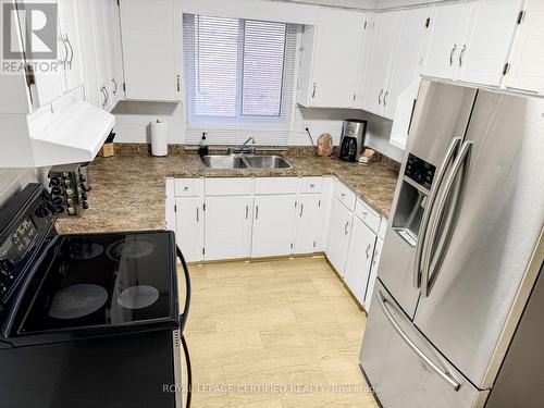 67 Mcdonagh Crescent, Thorold, ON - Indoor Photo Showing Kitchen With Double Sink