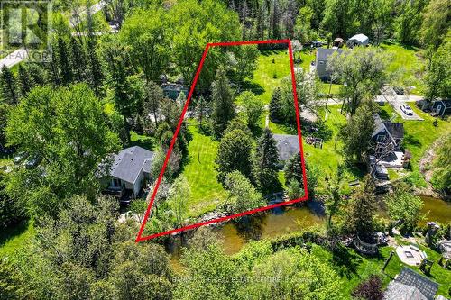 8480 NOTTAWASAGA RIVER ROAD  Adjala-Tosorontio, ON L0G 1L0