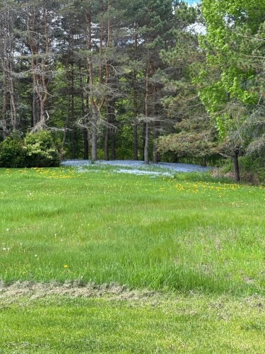Lot - 1761Z Ch. St-Pierre S., Sainte-Thècle, QC 