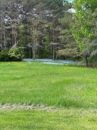 Lot - 
