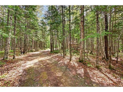 346 Gum Rd, Bartibog Bridge, NB 