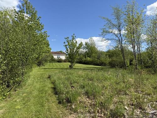 966 Route 710, Codys, NB 