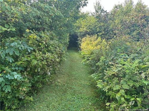 966 Route 710, Codys, NB 