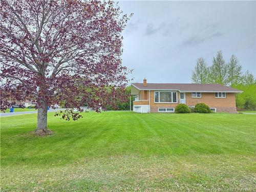 249 Jasmine, Beresford, NB 